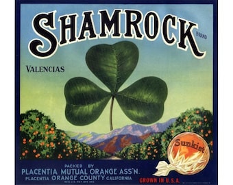 Shamrock California Orange Crate Label