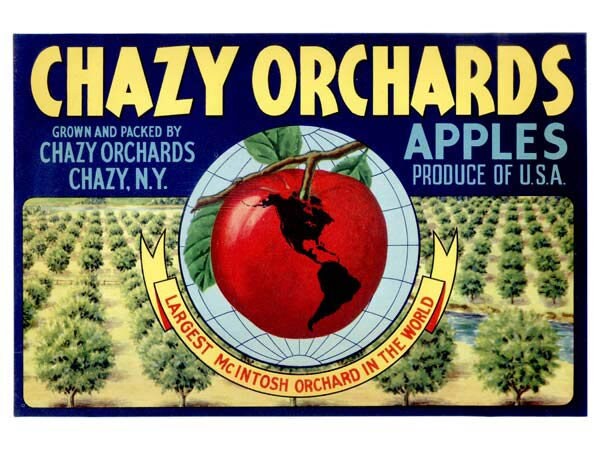 Chazy Orchards  The Largest McIntosh Apple Orchard in the World!