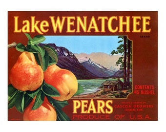 Lake Wenatchee Washington Pears - Brown label
