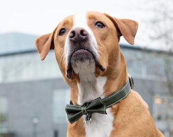 Hundehalsband mit Fliege für Jungen - Leder Hundehalsband - Schnellverschluss Halsband - Geschenk für Hundeliebhaber - Grün - Hochzeit Hundefliege