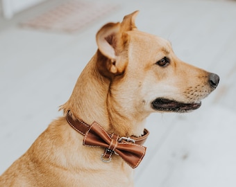 Hundehalsband Leder - Hundehalsband mit Fliege - Hundehalsband Junge - Hundehalsband Mädchen - Personalisiertes Hundehalsband mit Schleife - Schnellverschluss - 40 bis 43 cm