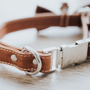 May include: A brown leather dog collar with a silver buckle and a metal D-ring.