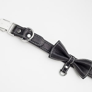 May include: Black leather dog collar with a white stitch detail and a matching black leather bow tie.