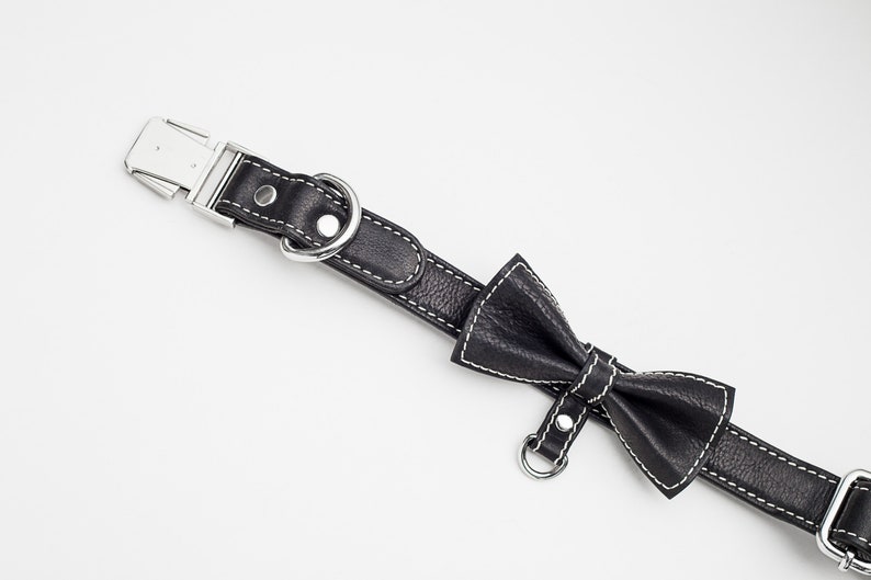 May include: Black leather dog collar with a white stitch detail and a matching black leather bow tie.