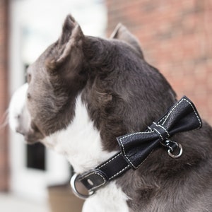 Dog collar with bow tie - Leather dog collar - Quick release dog collar - Wedding dog collar - Leather bow for dogs - Pitbull collar leather