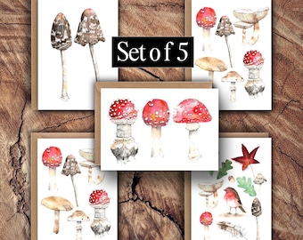 Set di 5 cartoline ad acquerello con funghi, illustrazioni botaniche di funghi del bosco (formato A6, vuote)