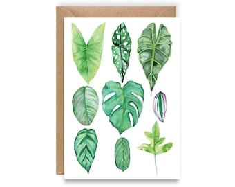 Biglietto di auguri con pianta da appartamento / Monstera, Orecchio di elefante