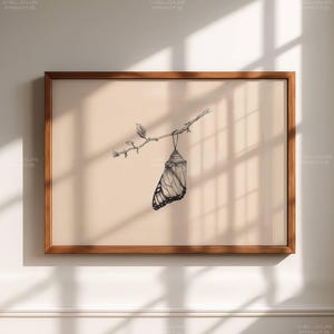 Butterfly Chrysalis Sketch – Minimal Line Drawing Botanical Wall Art – Neutral Vintage Insect Illustration