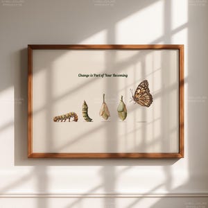 Peut inclure: Une affiche encadrée illustrant la métamorphose d'un papillon. L'image montre une chenille, une chrysalide et un papillon, avec le texte "Change is Part of Your Becoming". Le cadre est de couleur marron.
