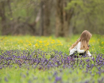 Digital Background  Yellow & Blue Grape Hyacinth Flower field -  Eliz Alex-  Instant Download, composite, stock