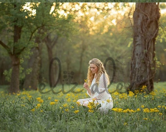 Digital Background  Yellow Flower field at Sunset2 -  Eliz Alex-  Instant Download, composite, stock, seniors