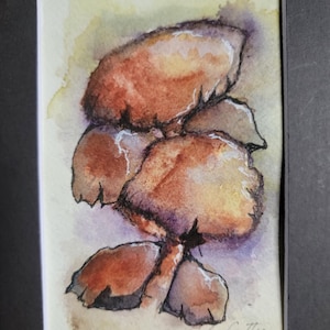 Puede incluir: Pintura de acuarela de un grupo de setas en tonos marrones, naranjas y morados. La obra de arte está sobre un trozo de papel rectangular, enmarcado en un borde negro. La firma del artista está en la esquina inferior derecha.