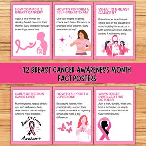 Puede incluir: Un conjunto de 12 carteles rosas con información sobre la concienciación sobre el cáncer de mama. Los carteles incluyen datos sobre el cáncer de mama, autoexámenes y formas de apoyar a los seres queridos. El texto dice "12 Breast Cancer Awareness Month Fact Posters."