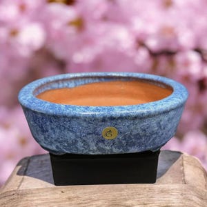 May include: An oval bonsai pot with a textured blue glazed exterior and a smooth terracotta interior. The pot features a small gold-colored circular emblem on the front side and rests on a black base, showcasing a distinct contrast in color and finish.