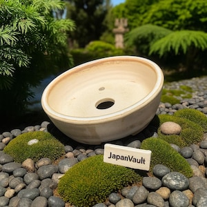 KOYO- White and gold round Japanese Bonsai pot -  Japanese - bonsai - handmade - unique - Tokoname