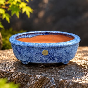 SHUHOU - Light Blue oval Japanese Bonsai pot - Japanese Bonsai pots - Japanese - bonsai - handmade - unique - Tokoname bonsai pot -