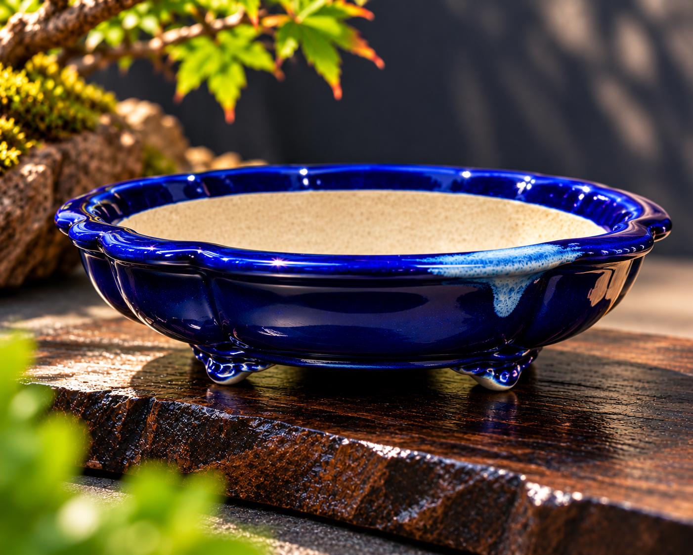 Tokoname Bonsai Pot - Etsy