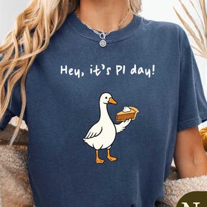 Silly Goose Pi-dagströja, mattelärartröja, rolig Pi-grafiktröja, Hej det är Pi-dagen, nördig mattetröja, STEM-lärarepresenter, 14 mars-tröja