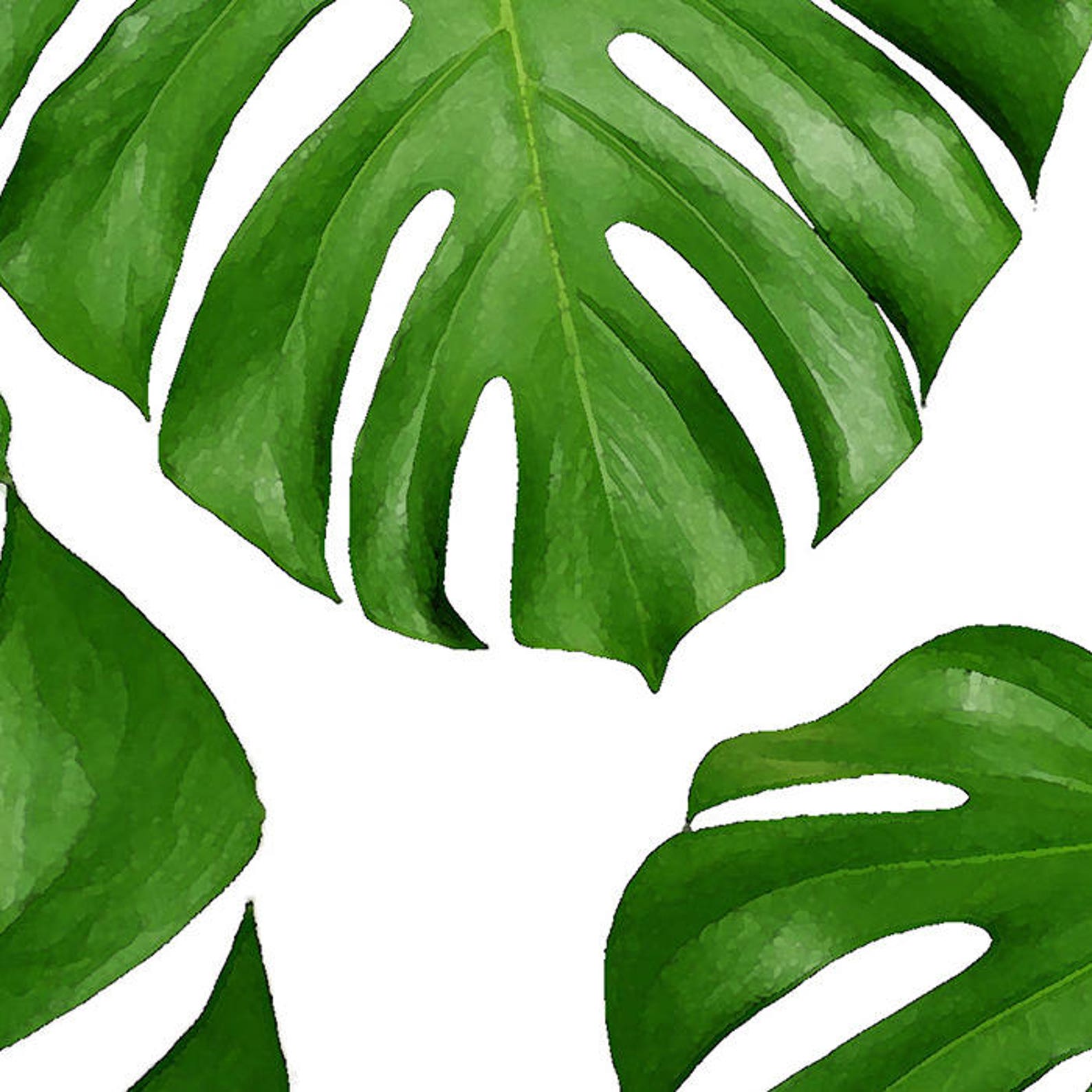 Monstera Leaf Bath Mat Kitchen Plush Rug Memory Foam Bright Etsy