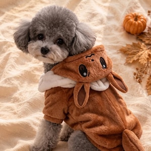 May include: A small gray poodle wearing a brown plush pet hoodie with a character hood featuring large eyes, a small mouth, and two long ears. The hoodie has a white fleece lining around the neck and a tail attached to the back of the garment.