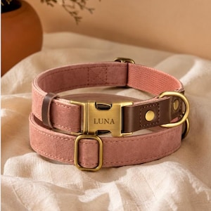 Op de afbeelding: Een oudroze halsband voor huisdieren met een gesp van geborsteld messing waarin de naam LUNA is gegraveerd. De halsband is voorzien van donkerbruine lederen accenten, messing hardware en een bijpassende verstelbare schuifregelaar.