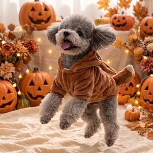 May include: A small gray poodle dog wearing a brown plush hooded sweatshirt with long ears and a tail. The dog is captured in mid-air with its mouth open, showcasing the soft, fuzzy texture of the brown garment against a festive autumn backdrop.