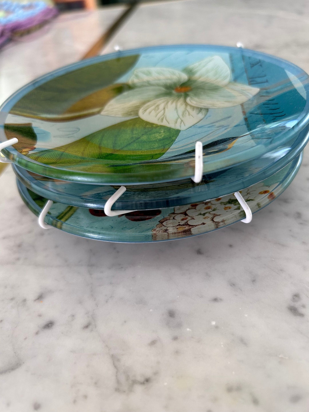 Set of 3 Painted Glass Wall Plates Botanical Motives Hangers Included