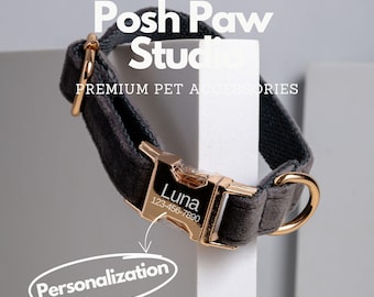 May include: A gray pet collar with gold-colored hardware. The collar features a gold buckle engraved with the name "Luna" and a phone number. The text "Posh Paw Studio" and "Premium Pet Accessories" are visible.