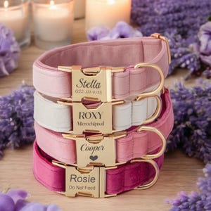 May include: A stack of four dog collars in shades of pink and white. Each collar has a gold-colored buckle with a name engraved on it: Stella, Roxy, Cooper, and Rosie. The collars are made of a soft, velvety material.