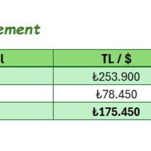 May include: A green and white P&L Statement table with the title "P&L Statement" in green. The table shows "Income", "Expense", and "Profit/Loss" with corresponding monetary values in Turkish Lira and US dollars.