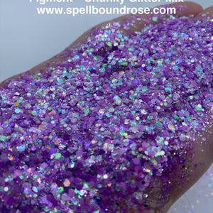 Iridescent Purple Chunky Glitter Mix: Polyester Glitter, Solvent Resistant (2oz)