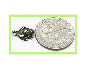 May include: A small silver-toned metal frog charm with a loop for attachment, positioned next to a United States ten-cent coin for scale. The frog features textured detailing on its back and limbs, with a polished finish on the raised surfaces.