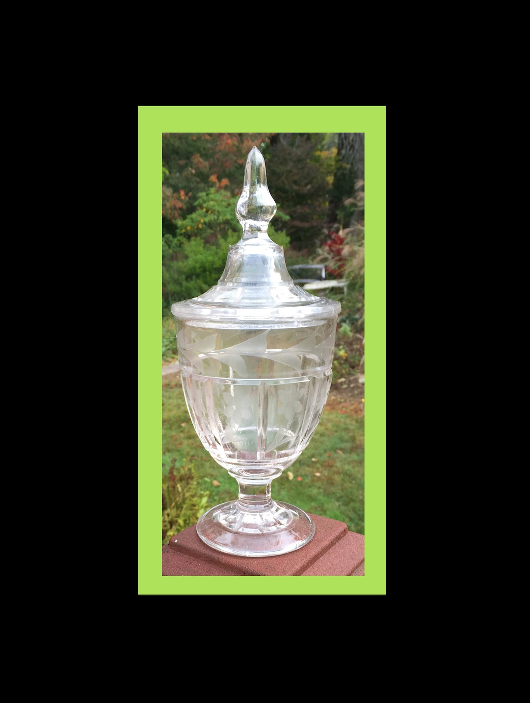 GLASS Compote With Lid and Etched Design. Etsy
