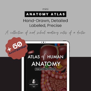 May include: A digital anatomy atlas displayed on a tablet, featuring detailed, hand-drawn illustrations of human organ systems and neuroanatomy. The cover reads "Atlas of Human Anatomy" with the text "Organ systems & Neuroanatomy". Includes over 60 illustrations.