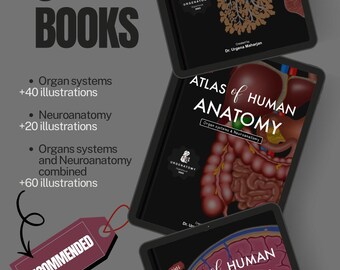 Mini Atlas of Human Anatomy (neuroanatomy) - Etsy