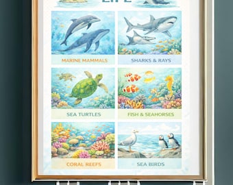 Pôster educativo imprimível sobre a vida marinha – Arte de parede infantil com animais marinhos, decoração Montessori com criaturas marinhas, download digital para sala de aula e sala de jogos.