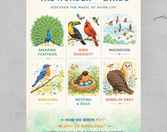 Pôster educativo para imprimir sobre pássaros | Arte de parede sobre ciências da vida das aves | Impressão sobre a natureza para crianças | Decoração para sala de aula em casa | Download instantâneo