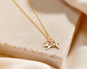 Collana piccola in oro 9 carati con iniziale e segno zodiacale / Ciondolo con segno zodiacale in oro massiccio