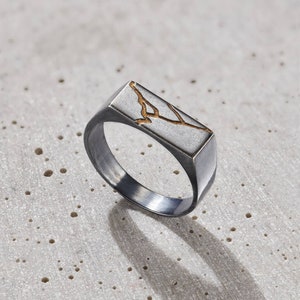 May include: A silver signet ring with a rectangular top featuring a crackled design in gold.