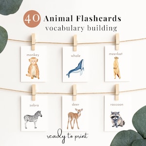 Tarjetas didácticas de animales, terapia del habla, juego de desarrollo de vocabulario, aula, aprendizaje temprano, descarga digital, intervención temprana, clasificación, imprimible