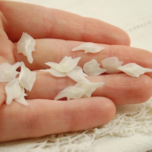 May include: A collection of small, white, iridescent, shell-like shapes, resembling fish scales, are scattered in a hand.