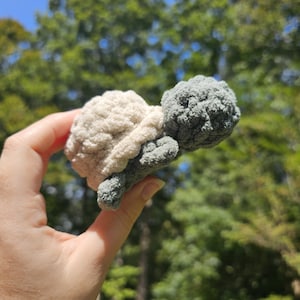 May include: A handmade crochet turtle in shades of cream, gray, and green. The turtle is held in a hand against a backdrop of green foliage and a blue sky. The turtle's shell is cream-colored, and the head and limbs are gray.