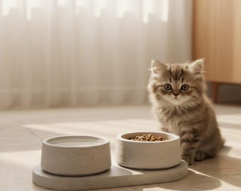 Luxury Concrete Pet Bowls | Designer Cat & Dog Feeding Set | Modern Pet Dining Station | Scandinavian Minimalist Pet Decor