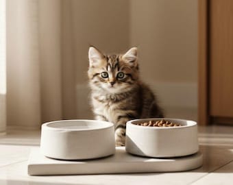 Luxury Concrete Pet Bowls Set | Designer Cat & Dog Feeder | Scandinavian Modern Pet Dining Station | Minimalist Pet Decor