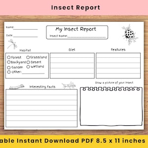 May include: A black and white printable worksheet titled My Insect Report with sections for Name, Date, Insect Name, Habitat, Diet, Features, Interesting Facts, and a box to draw a picture of an insect, featuring line art of a dragonfly and ladybug.