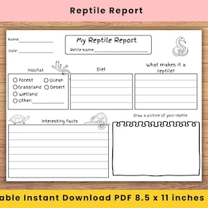 Puede incluir: Una hoja de trabajo imprimible blanca titulada My Reptile Report con ilustraciones de líneas negras de una serpiente, un lagarto, una tortuga y un camaleón. El documento incluye secciones para nombre, fecha, hábitat, dieta, hechos y un recuadro.
