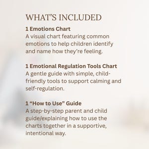 Pode incluir: Um gr&aacute;fico bege com o texto "WHAT'S INCLUDED" no topo. Abaixo, o texto lista um Emotions Chart, um Emotional Regulation Tools Chart e um guia "How to Use". O texto descreve o conte&uacute;do de cada item.