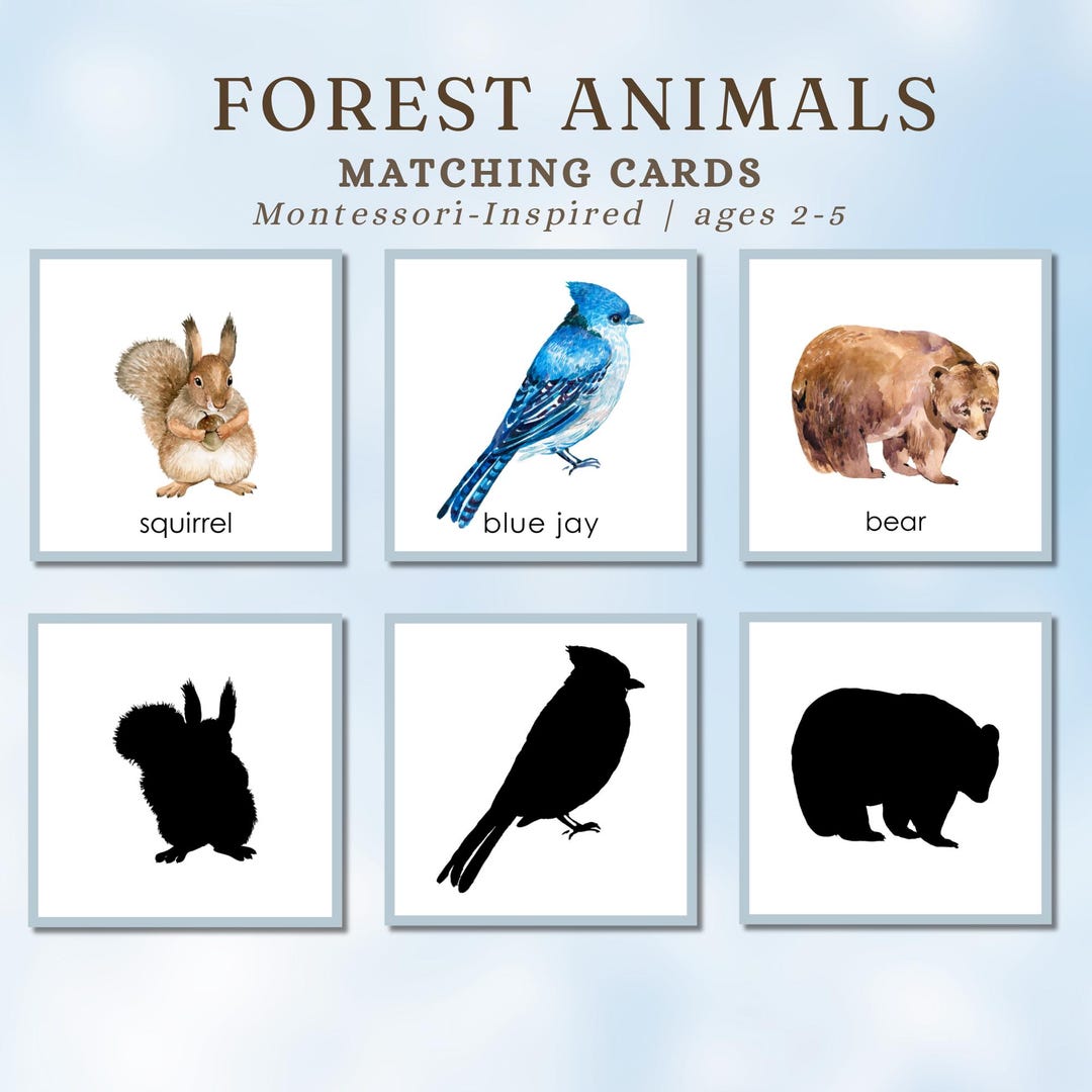 Forest Animals Matching Cards | Montessori Toddler Learning Ages 2-5 - Etsy