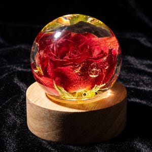 May include: A clear, spherical resin paperweight encasing a vibrant red rose. The rose is centered within the sphere, which sits atop a round, light-colored wooden base. The background is a dark, textured fabric.