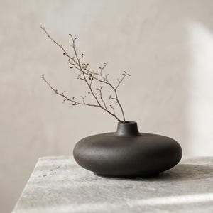 May include: A dark brown ceramic vase with a rounded body and a narrow neck. A delicate, dried branch with small buds extends from the vase. The vase is placed on a light grey, textured surface.